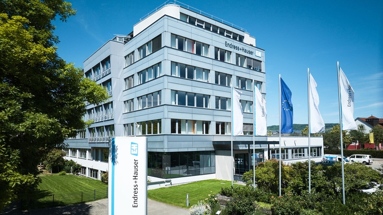 Endress+Hauser InfoServe GmbH+Co. KG (Weil am Rhein, Almanya)