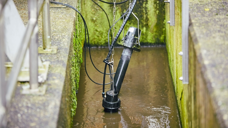 ISEmax CAS40D sensörü, Stadtlohn atık su arıtma tesisindeki nitrat ve amonyumu ölçer.