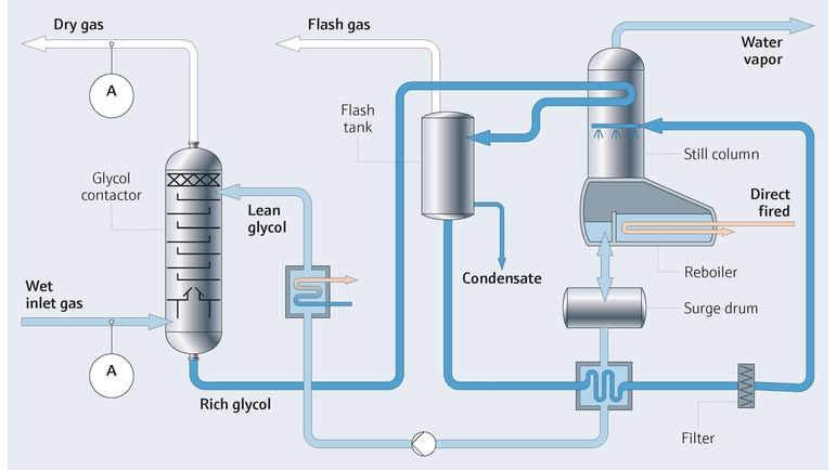 Endress+Hauser'den H20 tespiti için H2O analizörlü proses haritası